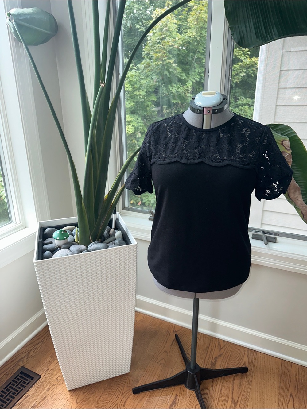 Ann Taylor Black Lace Yoke Short Sleeve Top
